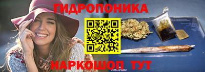 apvp Вышний Волочёк