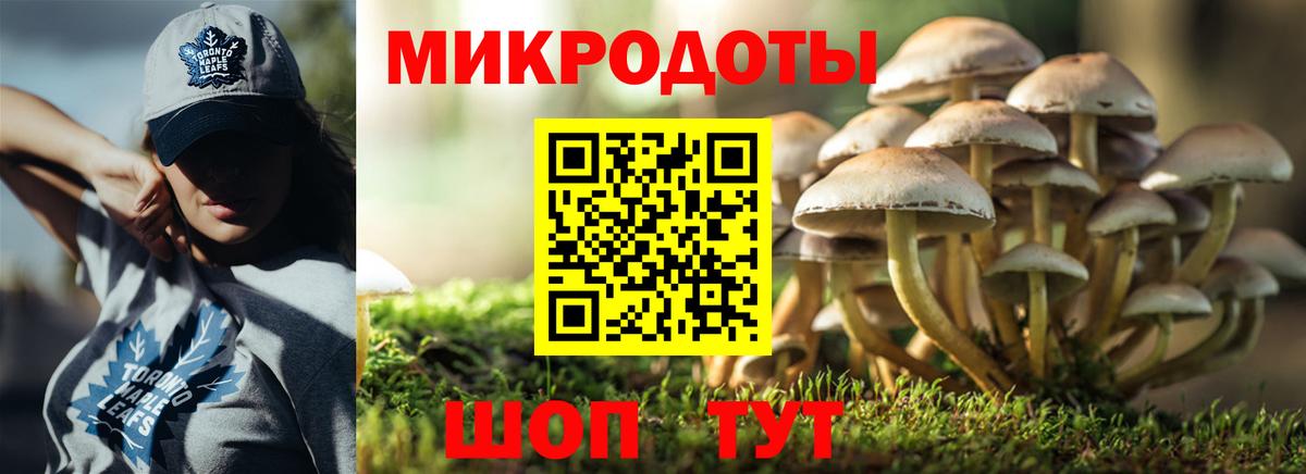Россошь  Галлюциногенные грибы Psilocybe  купить наркотик  Псилоцибиновые грибы мухоморы  Вход с VPN 