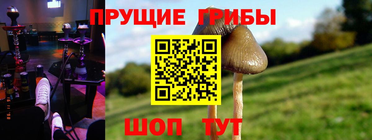 Псилоцибиновые грибы GOLDEN TEACHER Россошь